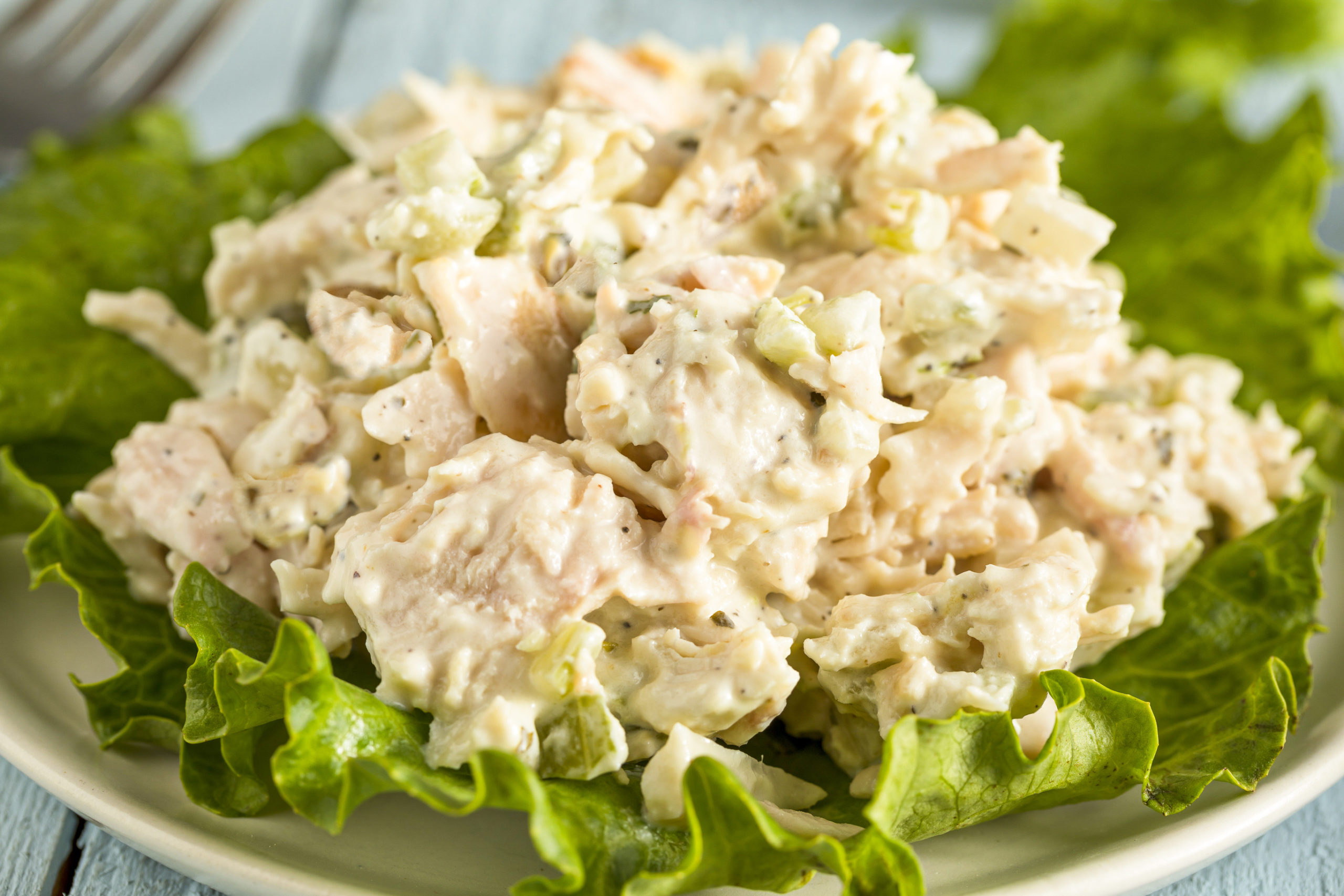 Keto Chicken Salad · Fittoserve Group