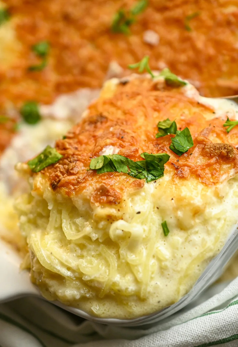 Keto Spaghetti Squash Alfredo Casserole · Fittoserve Group