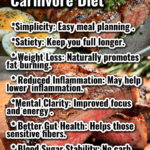 Carnivore Diet Benefits Infographic